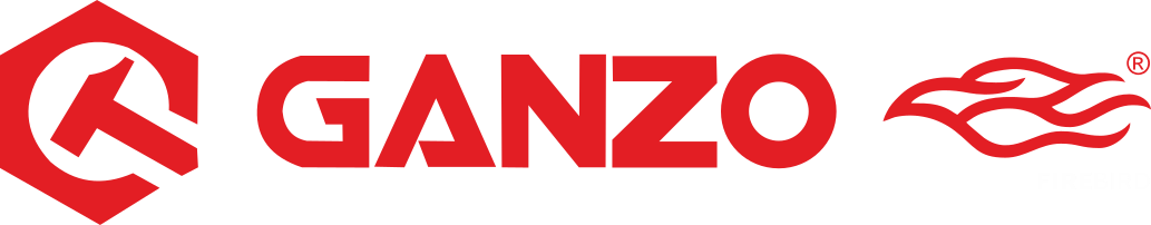 Logo de Ganzo